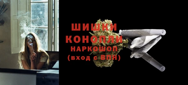 соль ск Богородск