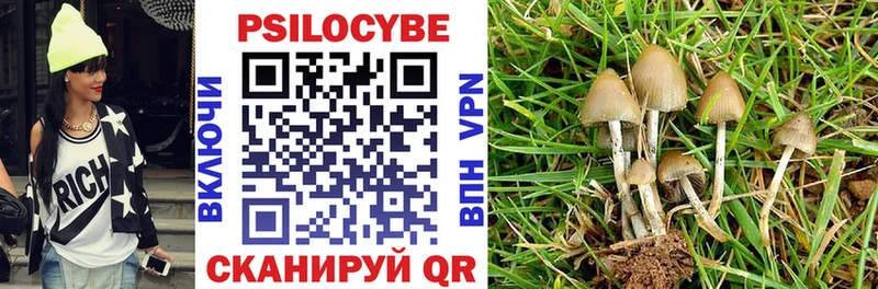 купить закладку  Короча  Псилоцибиновые грибы Cubensis 